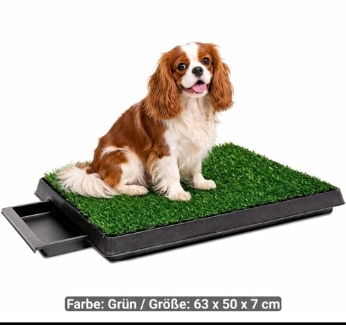Hundetoilette mit kunstrasen - mit,